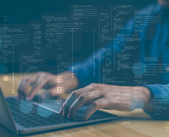 SoftwareDevelopment